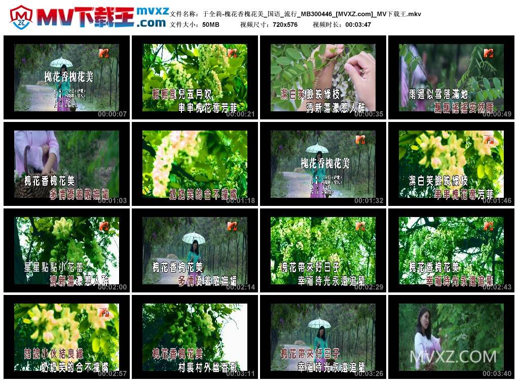 于全莉-槐花香槐花美_国语_流行_MB300446